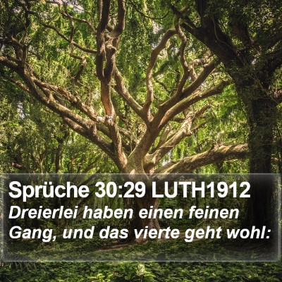 Sprüche 30:29 LUTH1912 Bible Verse Image
