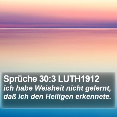 Sprüche 30:3 LUTH1912 Bible Verse Image