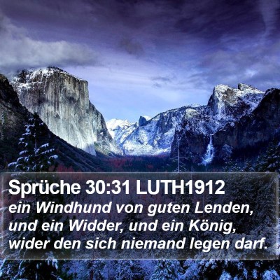 Sprüche 30:31 LUTH1912 Bible Verse Image