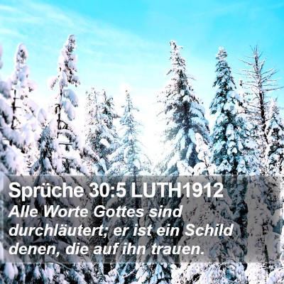 Sprüche 30:5 LUTH1912 Bible Verse Image