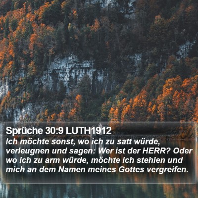 Sprüche 30:9 LUTH1912 Bible Verse Image