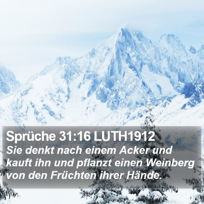 Sprüche 31:16 LUTH1912 Bible Verse Image