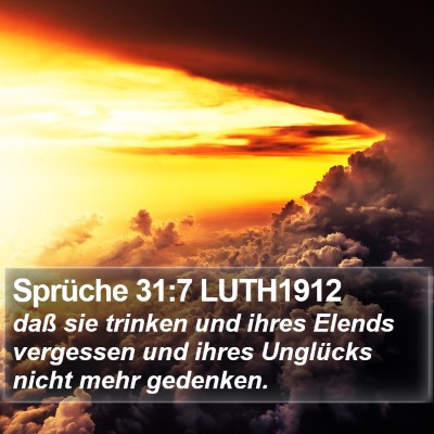 Sprüche 31:7 LUTH1912 Bible Verse Image