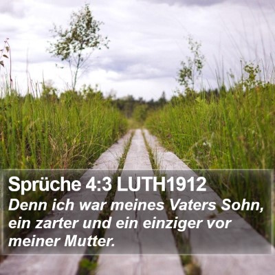 Sprüche 4:3 LUTH1912 Bible Verse Image