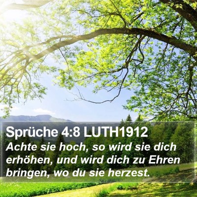 Sprüche 4:8 LUTH1912 Bible Verse Image