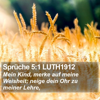 Sprüche 5:1 LUTH1912 Bible Verse Image