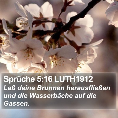 Sprüche 5:16 LUTH1912 Bible Verse Image