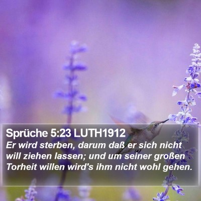 Sprüche 5:23 LUTH1912 Bible Verse Image