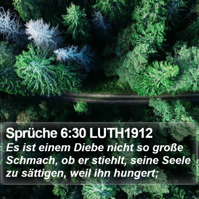 Sprüche 6:30 LUTH1912 Bible Verse Image