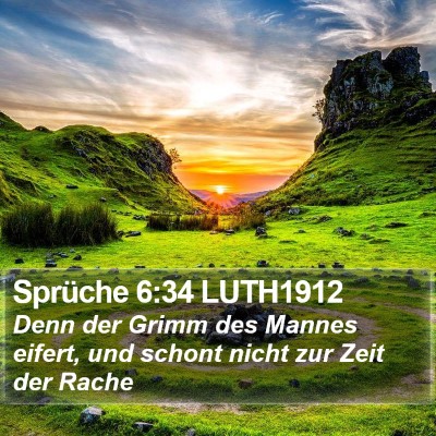 Sprüche 6:34 LUTH1912 Bible Verse Image