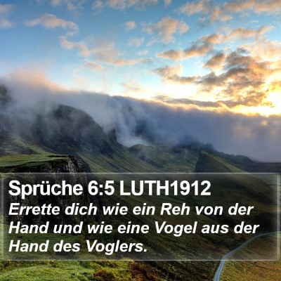 Sprüche 6:5 LUTH1912 Bible Verse Image