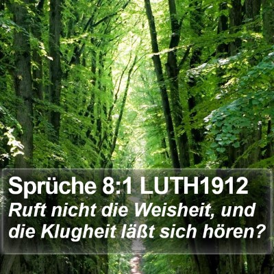 Sprüche 8:1 LUTH1912 Bible Verse Image
