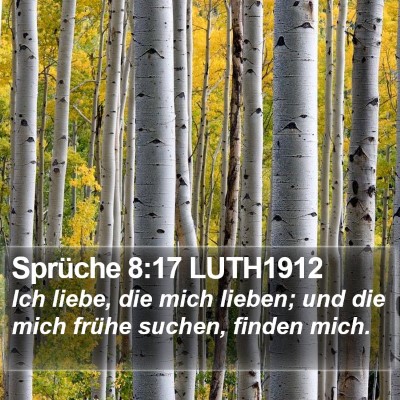 Sprüche 8:17 LUTH1912 Bible Verse Image