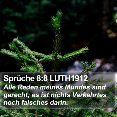 Sprüche 8:8 LUTH1912 Bible Verse Image