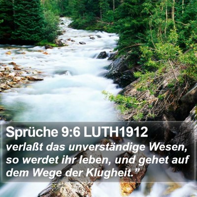 Sprüche 9:6 LUTH1912 Bible Verse Image