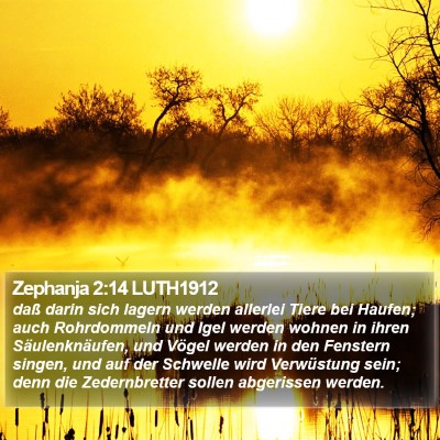 Zephanja 2:14 LUTH1912 Bible Verse Image