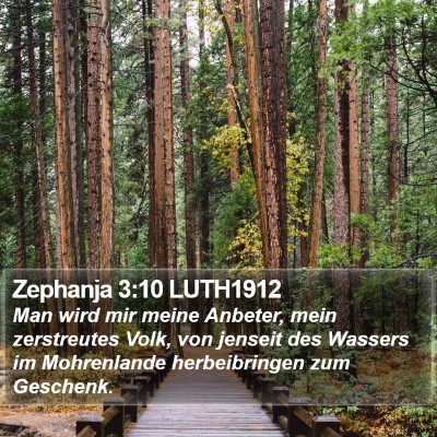 Zephanja 3:10 LUTH1912 Bible Verse Image