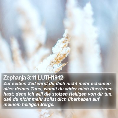 Zephanja 3:11 LUTH1912 Bible Verse Image