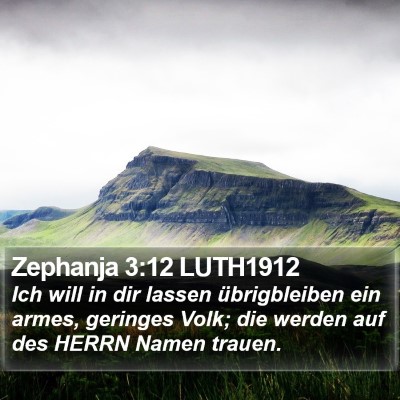Zephanja 3:12 LUTH1912 Bible Verse Image