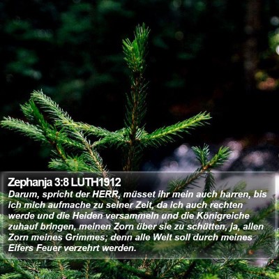 Zephanja 3:8 LUTH1912 Bible Verse Image