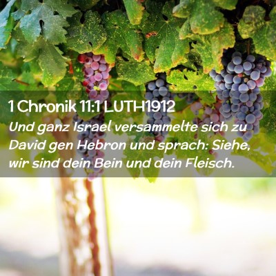 Picture 02 - 1 Chronik 11:1 LUTH1912 - Und ganz Israel versammelte sich zu David gen - Bible Verse Picture
