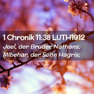 Picture 02 - 1 Chronik 11:38 LUTH1912 - Joel, der Bruder Nathans; Mibehar, der Sohn - Bible Verse Picture