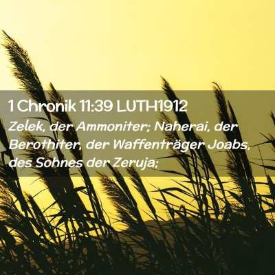 Picture 02 - 1 Chronik 11:39 LUTH1912 - Zelek, der Ammoniter; Naherai, der Berothiter, - Bible Verse Picture