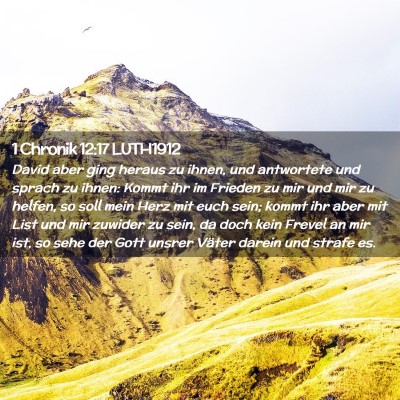 Picture 02 - 1 Chronik 12:17 LUTH1912 - David aber ging heraus zu ihnen, und antwortete - Bible Verse Picture