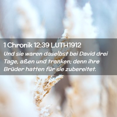 Picture 02 - 1 Chronik 12:39 LUTH1912 - Und sie waren daselbst bei David drei Tage, aßen - Bible Verse Picture