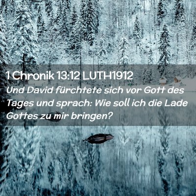 Picture 02 - 1 Chronik 13:12 LUTH1912 - Und David fürchtete sich vor Gott des Tages und - Bible Verse Picture