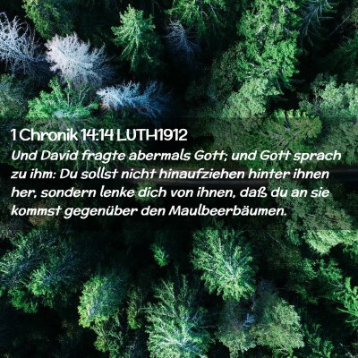 Picture 02 - 1 Chronik 14:14 LUTH1912 - Und David fragte abermals Gott; und Gott sprach - Bible Verse Picture