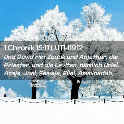 Picture 02 - 1 Chronik 15:11 LUTH1912 - Und David rief Zadok und Abjathar, die Priester, - Bible Verse Picture