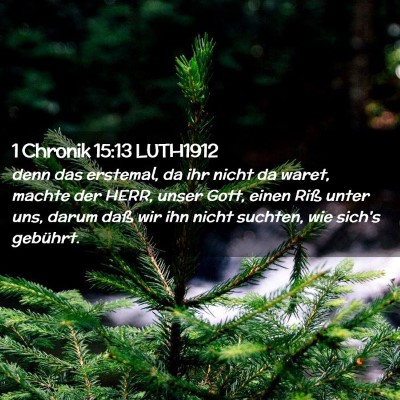 Picture 02 - 1 Chronik 15:13 LUTH1912 - denn das erstemal, da ihr nicht da waret, machte - Bible Verse Picture