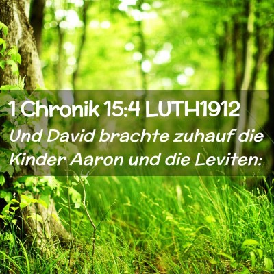 Picture 02 - 1 Chronik 15:4 LUTH1912 - Und David brachte zuhauf die Kinder Aaron und die - Bible Verse Picture
