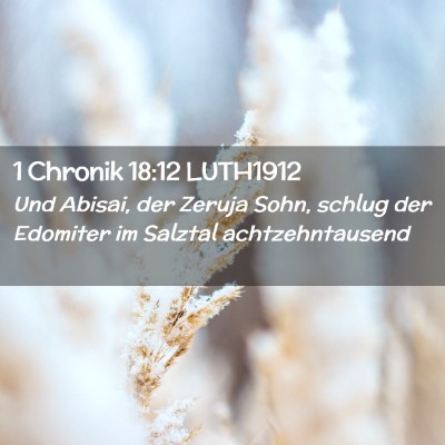 Picture 02 - 1 Chronik 18:12 LUTH1912 - Und Abisai, der Zeruja Sohn, schlug der Edomiter - Bible Verse Picture