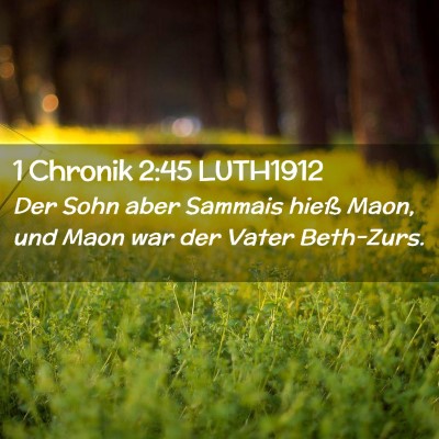 Picture 02 - 1 Chronik 2:45 LUTH1912 - Der Sohn aber Sammais hieß Maon, und Maon war - Bible Verse Picture