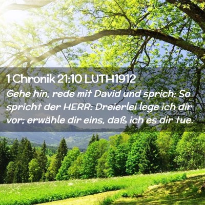 Picture 02 - 1 Chronik 21:10 LUTH1912 - Gehe hin, rede mit David und sprich: So spricht - Bible Verse Picture
