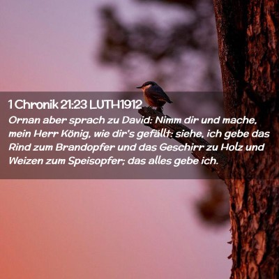 Picture 02 - 1 Chronik 21:23 LUTH1912 - Ornan aber sprach zu David: Nimm dir und mache, - Bible Verse Picture