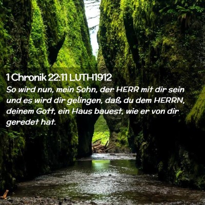 Picture 02 - 1 Chronik 22:11 LUTH1912 - So wird nun, mein Sohn, der HERR mit dir sein und - Bible Verse Picture