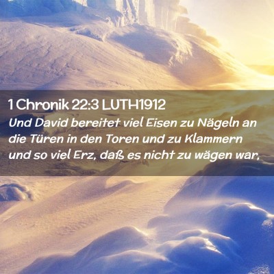 Picture 02 - 1 Chronik 22:3 LUTH1912 - Und David bereitet viel Eisen zu Nägeln an die - Bible Verse Picture