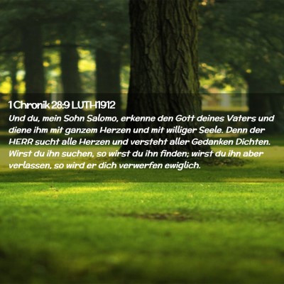 Picture 02 - 1 Chronik 28:9 LUTH1912 - Und du, mein Sohn Salomo, erkenne den Gott deines - Bible Verse Picture