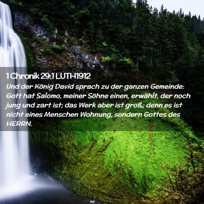 Picture 02 - 1 Chronik 29:1 LUTH1912 - Und der König David sprach zu der ganzen - Bible Verse Picture