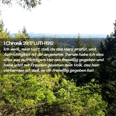 Picture 02 - 1 Chronik 29:17 LUTH1912 - Ich weiß, mein Gott, daß du das Herz prüfst, - Bible Verse Picture
