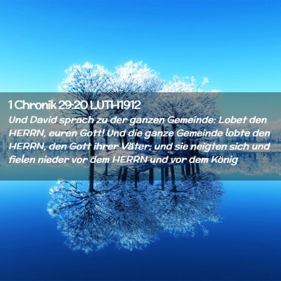 Picture 02 - 1 Chronik 29:20 LUTH1912 - Und David sprach zu der ganzen Gemeinde: Lobet - Bible Verse Picture