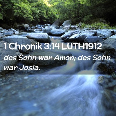 Picture 02 - 1 Chronik 3:14 LUTH1912 - des Sohn war Amon; des Sohn war - Bible Verse Picture