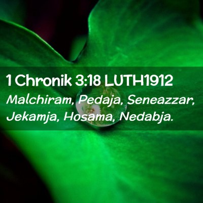 Picture 02 - 1 Chronik 3:18 LUTH1912 - Malchiram, Pedaja, Seneazzar, Jekamja, Hosama, - Bible Verse Picture