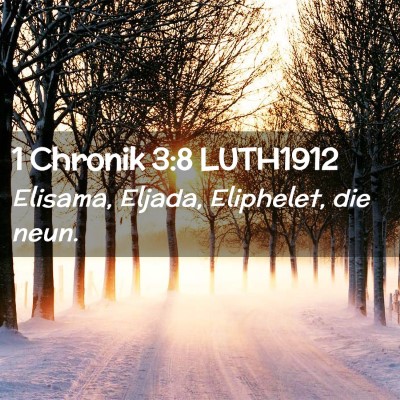 Picture 02 - 1 Chronik 3:8 LUTH1912 - Elisama, Eljada, Eliphelet, die - Bible Verse Picture