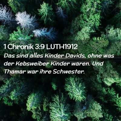 Picture 02 - 1 Chronik 3:9 LUTH1912 - Das sind alles Kinder Davids, ohne was der - Bible Verse Picture