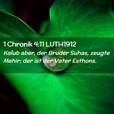 Picture 02 - 1 Chronik 4:11 LUTH1912 - Kalub aber, der Bruder Suhas, zeugte Mehir; der - Bible Verse Picture