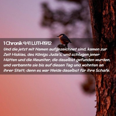 Picture 02 - 1 Chronik 4:41 LUTH1912 - Und die jetzt mit Namen aufgezeichnet sind, kamen - Bible Verse Picture